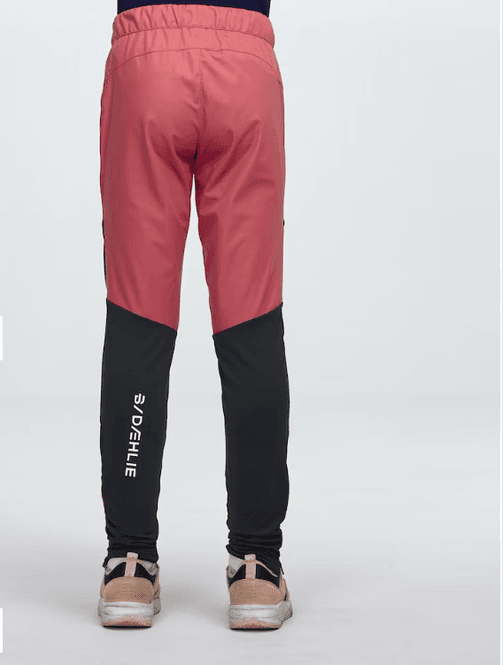 Hovedbilde Dæhlie Pants Challenge 2.0 jr. Dusty Red