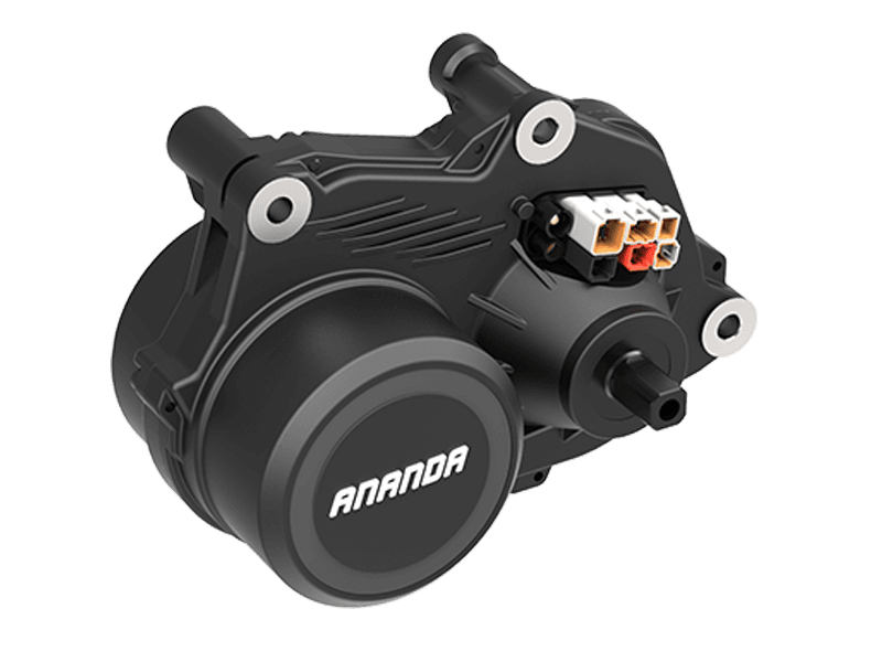 Motor Control-Ananda M81